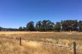 Property photo of 48 Roy Road Metricup WA 6280