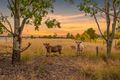 Property photo of 168 Cemetery Road Chinchilla QLD 4413