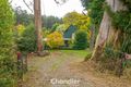 Property photo of 207 Mt Dandenong Tourist Road Ferny Creek VIC 3786