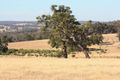 Property photo of 59 Turtledove Drive Lower Chittering WA 6084