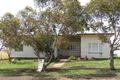 Property photo of 14 Aruma Drive Oakey QLD 4401