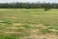 Property photo of 17 Haigh Crescent Samford Valley QLD 4520