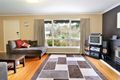 Property photo of 17 Nielsen Avenue Nunawading VIC 3131