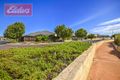 Property photo of 17 Castlereagh Vista Millbridge WA 6232