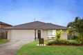 Property photo of 19 Cassidy Crescent Willow Vale QLD 4209