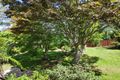 Property photo of 23 Brightlands Avenue Blackheath NSW 2785