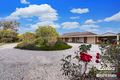 Property photo of 10 Sailplane Court Ward Belt SA 5118