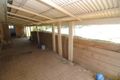 Property photo of 6 Sauvignon Court Molendinar QLD 4214