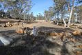 Property photo of 7 Little Dog Drive Miena TAS 7030