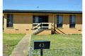 Property photo of 43 Adams Street Ashmont NSW 2650