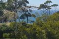 Property photo of 14 Burrawang Crescent Sunshine Bay NSW 2536