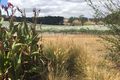 Property photo of 39 Sydney Road Nairne SA 5252