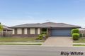 Property photo of 15 Cedarwood Street Berrinba QLD 4117