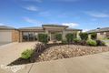 Property photo of 8 Pasadena Boulevard Clyde VIC 3978