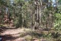 Property photo of 14 Pinecone Court Bunya QLD 4055