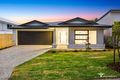 Property photo of 14 Helix Close Spring Mountain QLD 4300