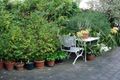 Property photo of 5B Belson Street Malvern East VIC 3145