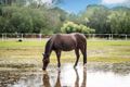 Property photo of 50 Horne Road Bees Creek NT 0822