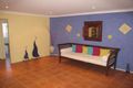 Property photo of 37 Peppercorn Crescent Fletcher NSW 2287