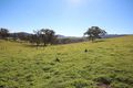 Property photo of 701 Jerrys Meadow Road Sodwalls NSW 2790