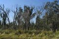 Property photo of 44 Pleasure Point Road Pleasure Point NSW 2172