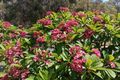 Property photo of 51 Myalup Beach Road Myalup WA 6220