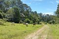 Property photo of 6 Cadell Road Mount Burrell NSW 2484