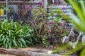 Property photo of 16 Scheske Street Wilsonton QLD 4350