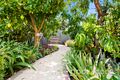 Property photo of 29 Harriet Street West Croydon SA 5008