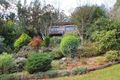 Property photo of 14 Seaview Avenue Ferny Creek VIC 3786