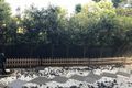 Property photo of 16 Compass Drive Biggera Waters QLD 4216