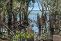 Property photo of 45 Perulpa Drive Lamb Island QLD 4184