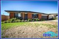 Property photo of 9 Redgrove Court East Branxton NSW 2335