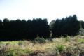 Property photo of 41 Ryland Avenue Croydon VIC 3136