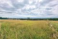 Property photo of 86 Back Creek Road Young NSW 2594