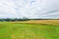 Property photo of 86 Back Creek Road Young NSW 2594