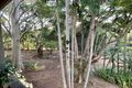 Property photo of 10 Finley Road Eumundi QLD 4562