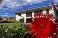 Property photo of 39 Narrah Street Alva QLD 4807