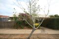 Property photo of 12/21 Port Road Queenstown SA 5014
