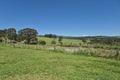 Property photo of 1954 Willina Road Bunyah NSW 2429