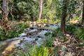Property photo of 507 Cedar Creek Road Cedar Creek QLD 4207