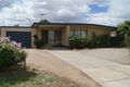 Property photo of 10 Willow Avenue Salisbury East SA 5109
