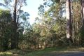 Property photo of 14 Storrs Road Peachester QLD 4519