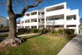 Property photo of 2/7 Lowrie Street Dickson ACT 2602