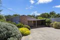 Property photo of 14 Pearl Court Tootgarook VIC 3941