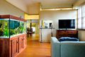 Property photo of 58A James Street Rangeville QLD 4350