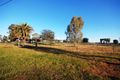 Property photo of 10 Osborne Street Urana NSW 2645