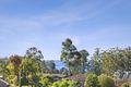 Property photo of 23 Parker Avenue Surf Beach NSW 2536