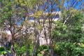 Property photo of 136 Awaba Street Mosman NSW 2088