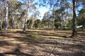 Property photo of 695 London Road Chandler QLD 4155